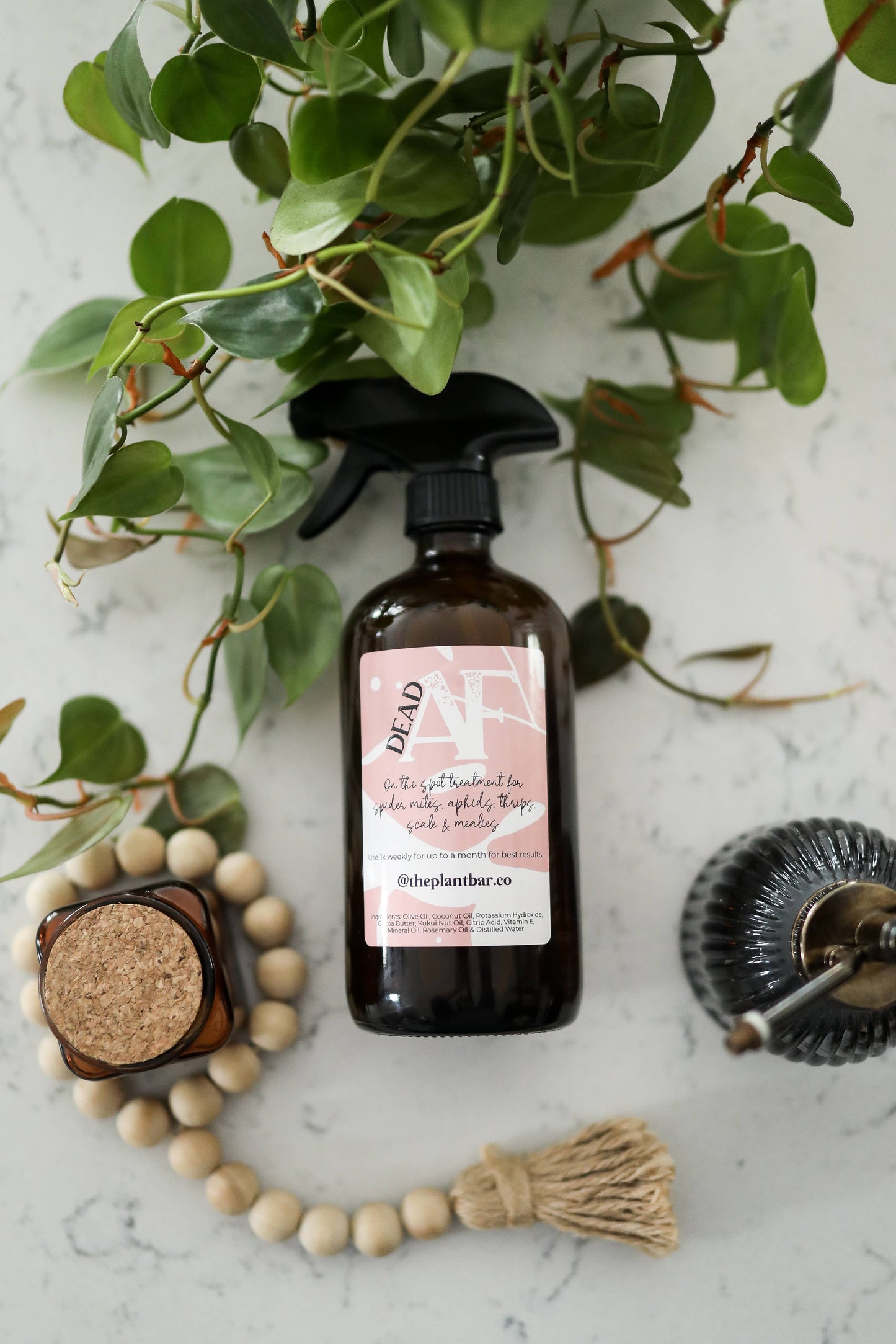 Dead AF - 16oz Amber Glass Bottle