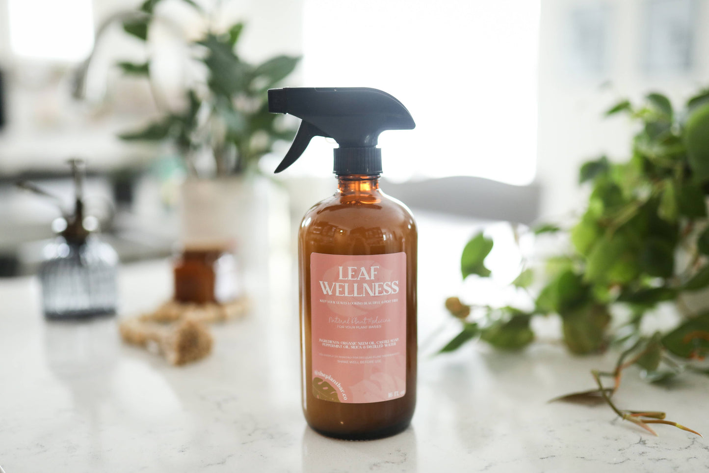 Leaf Wellness - 16oz Amber Glass Bottles