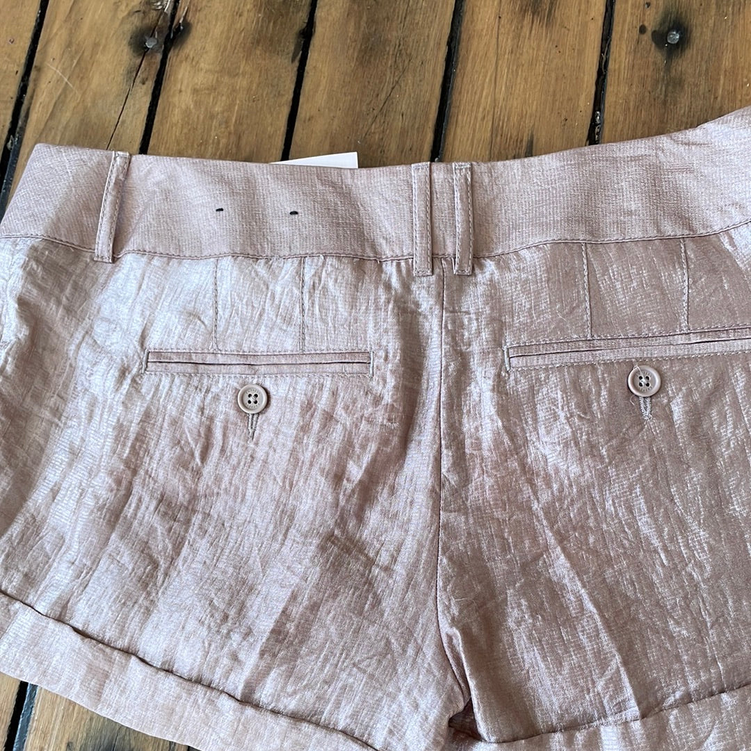 Express Metallic Extreme Low Waist Shorts