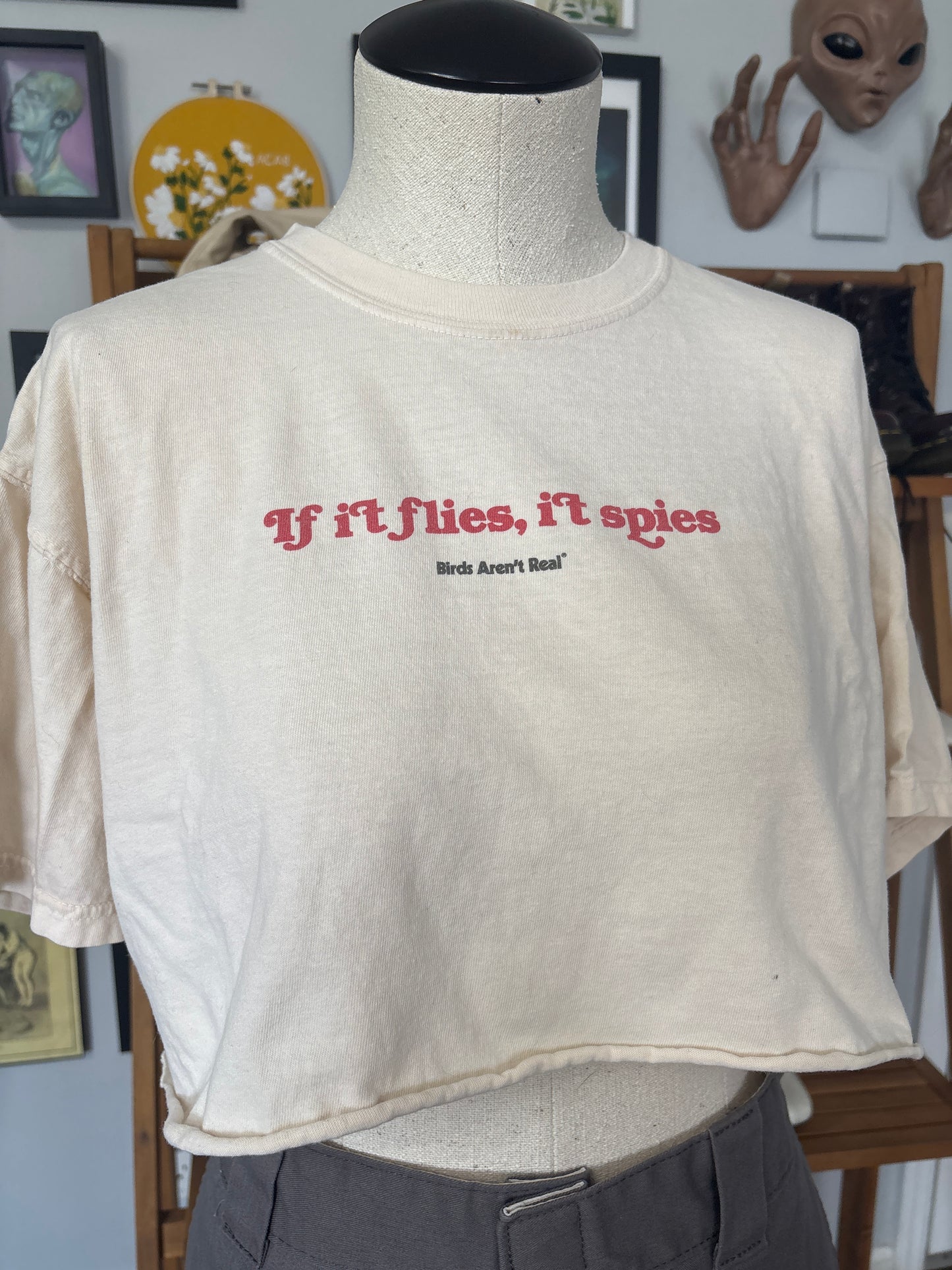 Birds aren’t real crop top