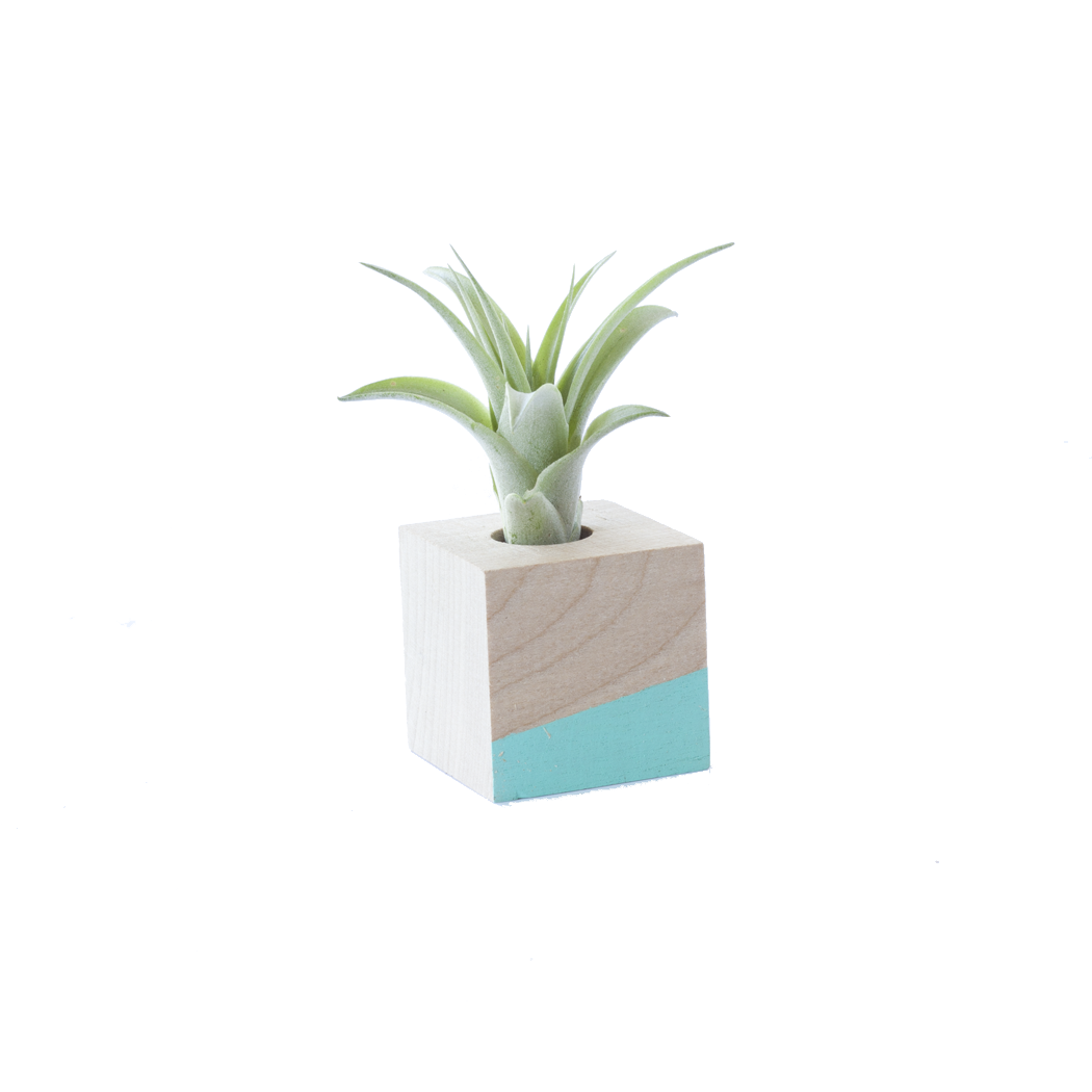Hand-painted blue and white color-blocked cube magnet by Savvie Studio