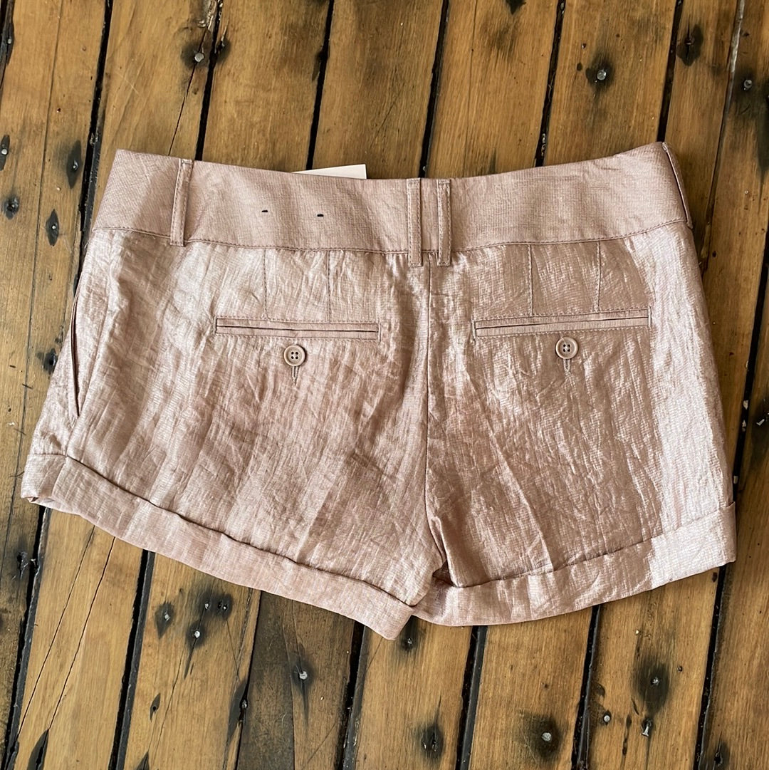 Express Metallic Extreme Low Waist Shorts