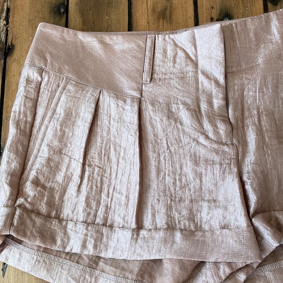 Express Metallic Extreme Low Waist Shorts