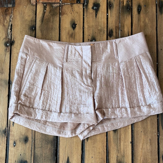 Express Metallic Extreme Low Waist Shorts